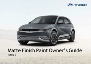 ioniq-5-matte-finish-paint-owners-guide.pdf