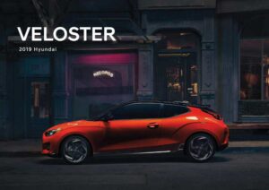 2019-hyundai-veloster-owners-manual.pdf